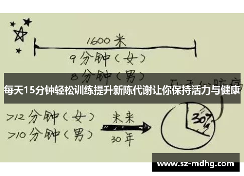 每天15分钟轻松训练提升新陈代谢让你保持活力与健康