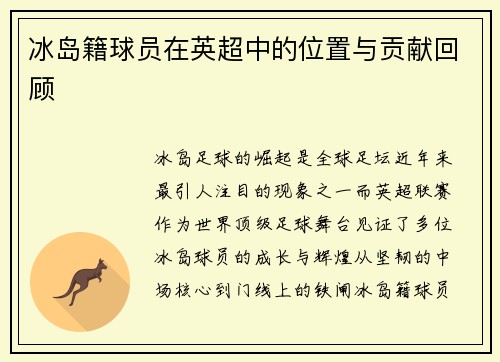 冰岛籍球员在英超中的位置与贡献回顾